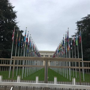 Ginevra Human Rights Council